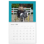 Walnut Hill Carriage Driving Horse Show Kalender (Jan 2026)