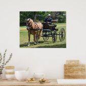 Walnut Hill Carriage Driving Horse Show Poster (Keuken)