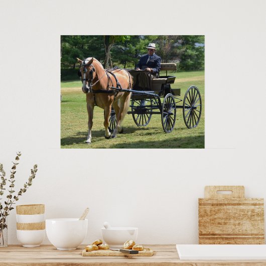 Walnut Hill Carriage Driving Horse Show Poster (Keuken)