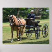 Walnut Hill Carriage Driving Horse Show Poster (Voorkant)
