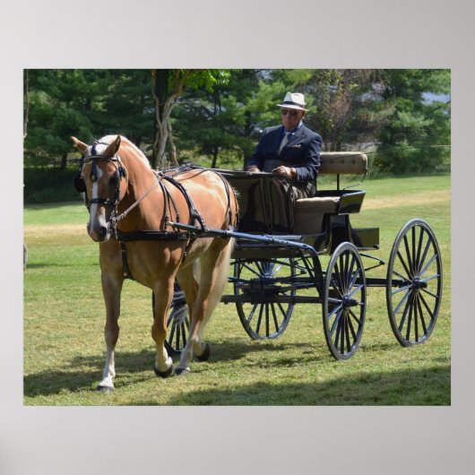 Walnut Hill Carriage Driving Horse Show Poster (Voorkant)