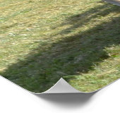 Walnut Hill Carriage Driving Horse Show Poster (Hoek)