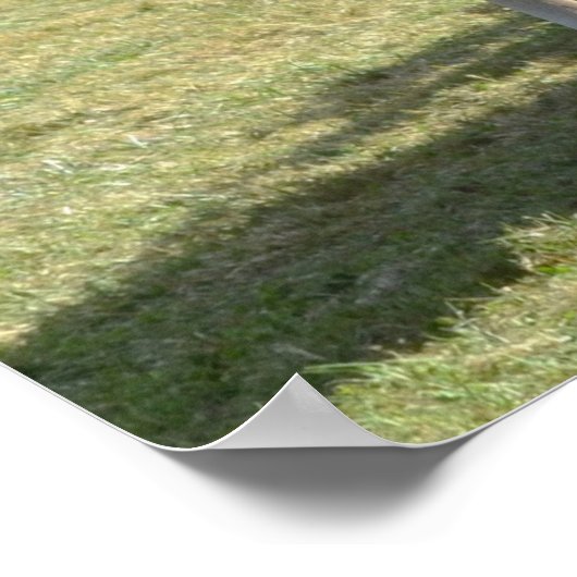 Walnut Hill Carriage Driving Horse Show Poster (Hoek)