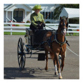 Walnut Hill Carriage Driving Horse Show Poster (Voorkant)