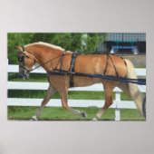 Walnut Hill Carriage Driving Horse Show Poster (Voorkant)