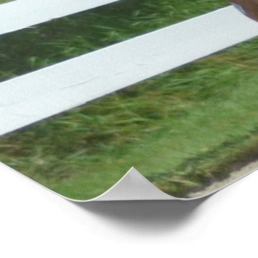 Walnut Hill Carriage Driving Horse Show Poster (Hoek)