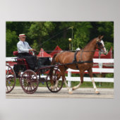 Walnut Hill Carriage Driving Horse Show Poster (Voorkant)