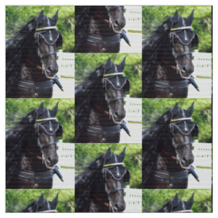 Walnut Hill Carriage Driving Show 2015 Stof