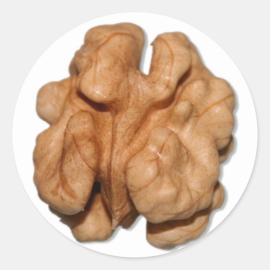 Walnut Ronde Sticker (Voorkant)