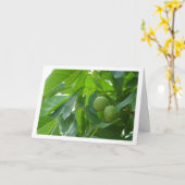 Walnut Tree Portrait Kaart (Gele Bloem)