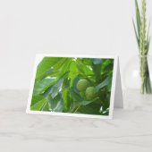 Walnut Tree Portrait Kaart (Voorkant)