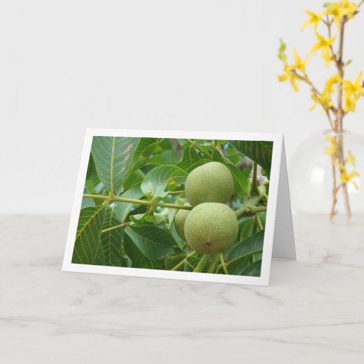 Walnut Tree Portrait Kaart (Gele Bloem)