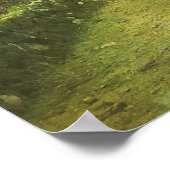 Walong Tranquil Kozan-ji Forest Kyoto Japan Poster (Hoek)