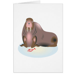 Walrus 2
