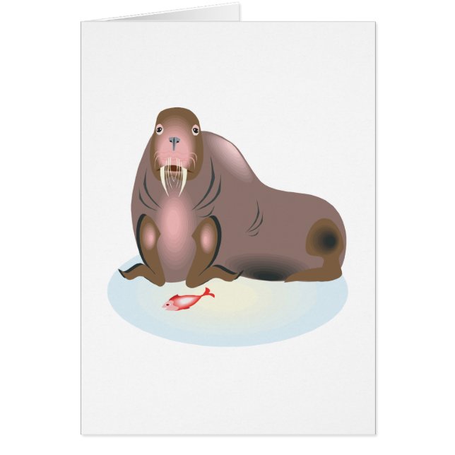 Walrus 2 (Voorkant)