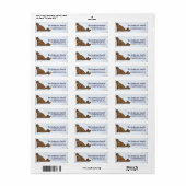 Walrus Arctic Freeze Animals Adresetiketten Etiket (Full Sheet)