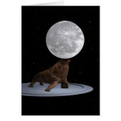 Walrus balanceert de maan (Voorkant)