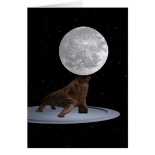 Walrus balanceert de maan