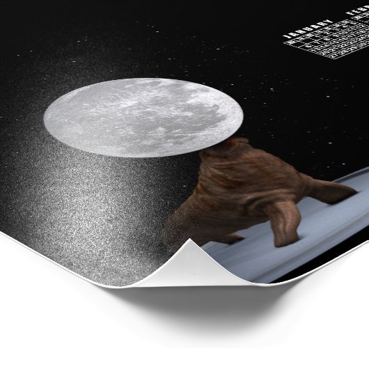 Walrus balanceert de maan foto afdruk (Hoek)