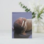 Walrus Briefkaart (Staand voorkant)