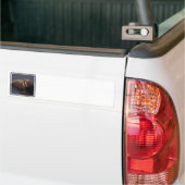 Walrus Bumpersticker (Op Truck)