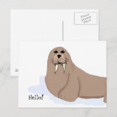 Walrus Cartoon Briefkaart (Voorkant / Achterkant)