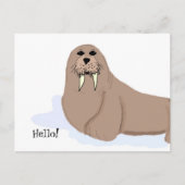 Walrus Cartoon Briefkaart (Voorkant)