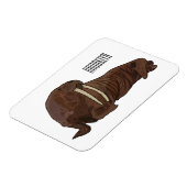 Walrus cartoon illustratie magneet (Linkerzijde)