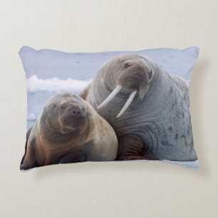 Walrus cow and calf rest on a sea ice floe decoratief kussen