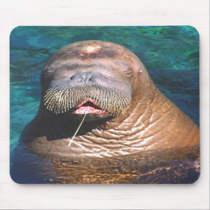 Walrus Eyes Closed Mousepad Muismat