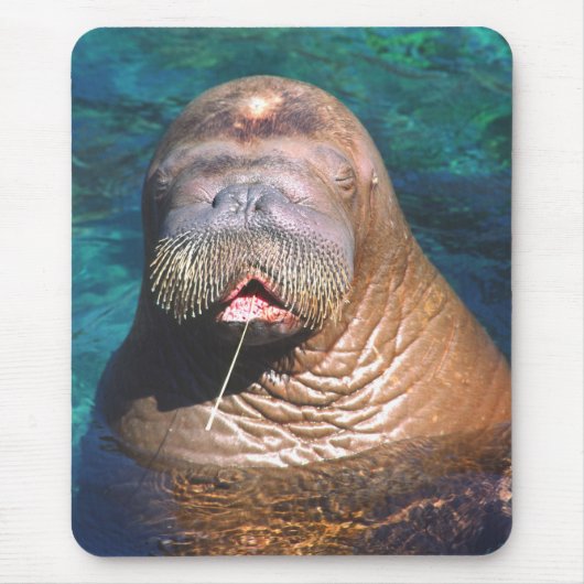 Walrus Eyes Closed Mousepad Muismat (Voorkant)