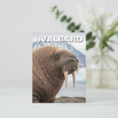 Walrus in Svalbard Noorwegen Briefkaart (Staand voorkant)