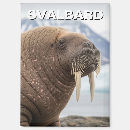 Walrus in Svalbard Noorwegen Magneet (Voorkant)