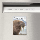 Walrus in Svalbard Noorwegen Magneet (Insitu (Vaatwasser))