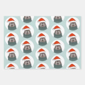 Walrus Kerstmis Inpakpapier Vel (Voorkant)