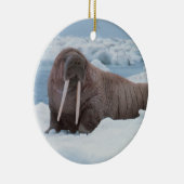 Walrus ligt rond keramisch ornament (Rechts)