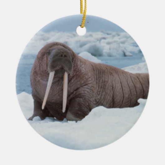 Walrus ligt rond keramisch ornament (Voorkant)