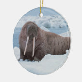 Walrus ligt rond keramisch ornament (Links)