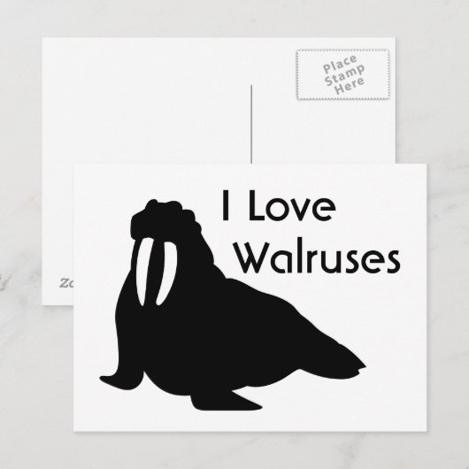 Walrus Love Briefkaart (Voorkant / Achterkant)