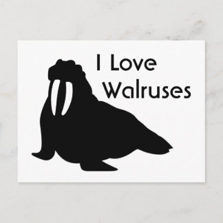 Walrus Love Briefkaart
