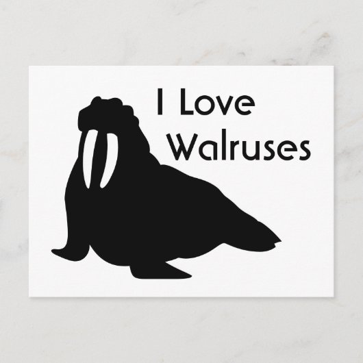 Walrus Love Briefkaart (Voorkant)