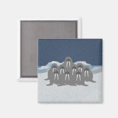 Walrus Magnet (Voorkant / Achterkant)