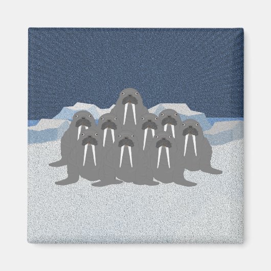 Walrus Magnet (Voorkant)
