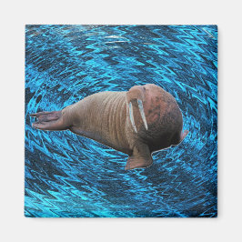 Walrus magnet