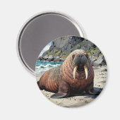 Walrus op een zandstrand | Schattige Dieren Magneet (Voorkant / Achterkant)