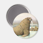  Walrus op Iceberg in Arctic, wilde dieren Magneet (Voorkant / Achterkant)