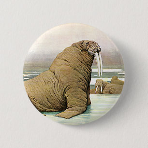  Walrus op Iceberg in Arctic, wilde dieren Ronde Button 5,7 Cm