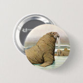 Walrus op Iceberg in Arctic, wilde dieren Ronde Button 5,7 Cm (Voorkant /achterkant)