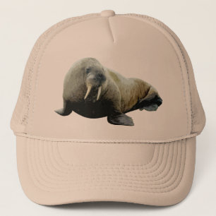 Walrus Pet