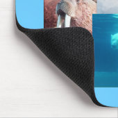 Walrus, Polar Beer, Zee Lion Bull Mousepad Muismat (Hoek)